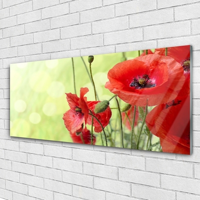 Glass Wall Art Poppies floral green red