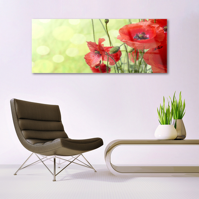 Glass Wall Art Poppies floral green red