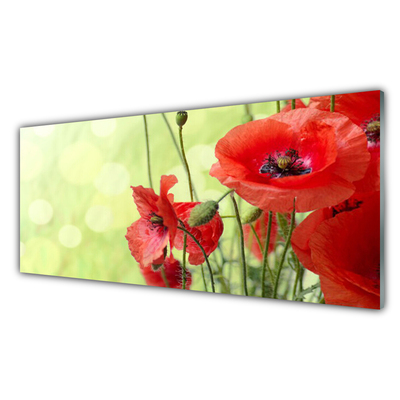 Glass Wall Art Poppies floral green red