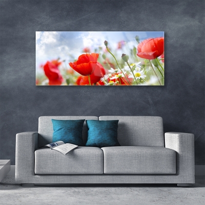 Glass Wall Art Poppies daisies floral red yellow white