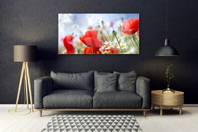 Glass Wall Art Poppies daisies floral red yellow white