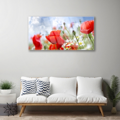 Glass Wall Art Poppies daisies floral red yellow white