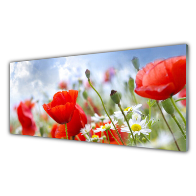 Glass Wall Art Poppies daisies floral red yellow white