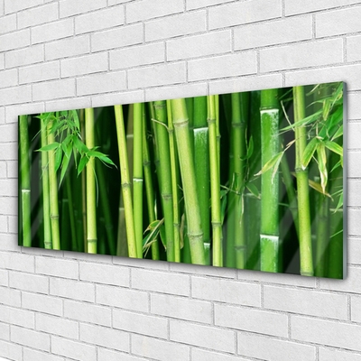 Glass Wall Art Bamboo stalks floral green