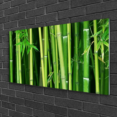 Glass Wall Art Bamboo stalks floral green