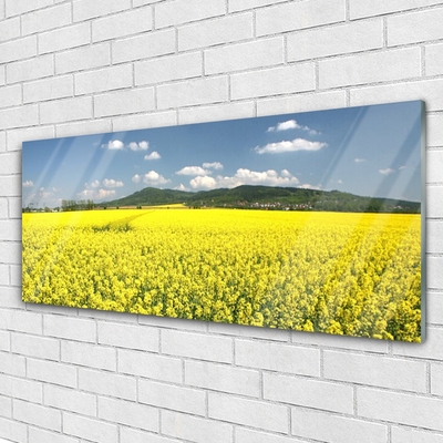 Glass Wall Art Meadow nature yellow