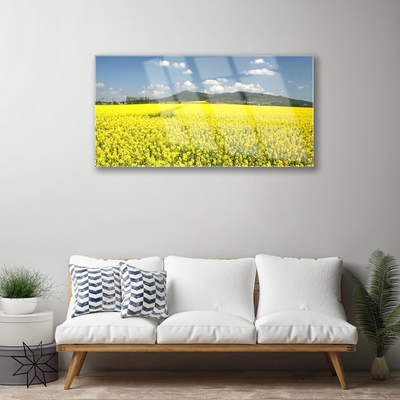 Glass Wall Art Meadow nature yellow