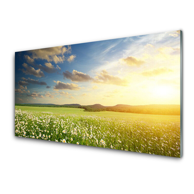 Glass Wall Art Meadow flowers landscape green white