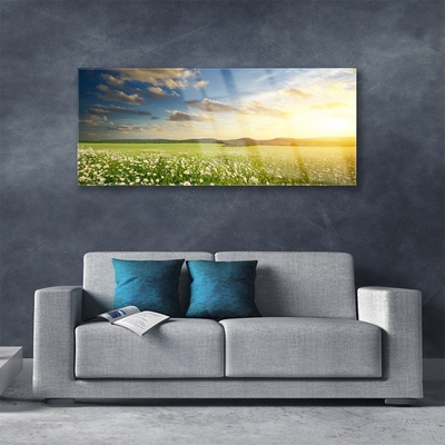 Glass Wall Art Meadow flowers landscape green white