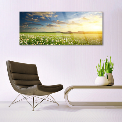 Glass Wall Art Meadow flowers landscape green white