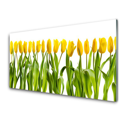 Glass Wall Art Tulips floral green yellow