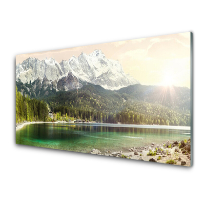 Glass Wall Art Mountain forest lake landscape white grey green
