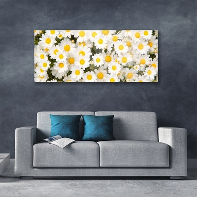 Glass Wall Art Daisy floral yellow white