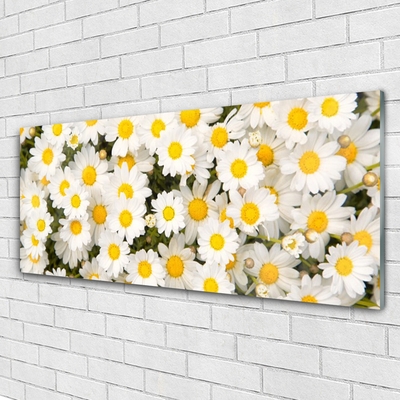 Glass Wall Art Daisy floral yellow white