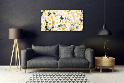 Glass Wall Art Daisy floral yellow white