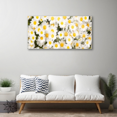 Glass Wall Art Daisy floral yellow white