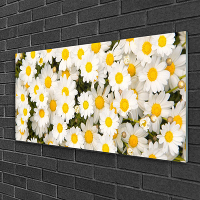 Glass Wall Art Daisy floral yellow white