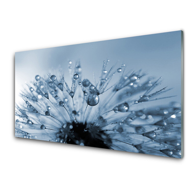 Glass Wall Art Dandelion floral blue