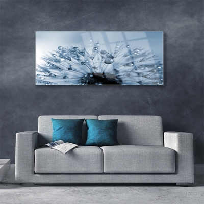 Glass Wall Art Dandelion floral blue