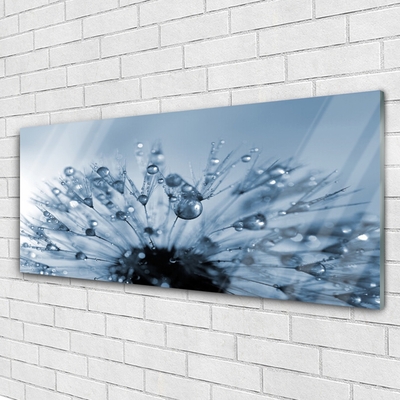 Glass Wall Art Dandelion floral blue