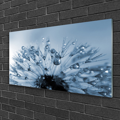 Glass Wall Art Dandelion floral blue