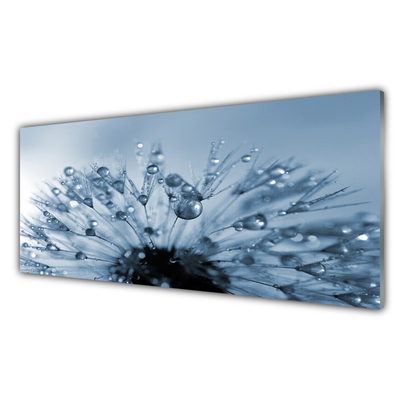 Glass Wall Art Dandelion floral blue