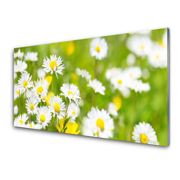 Glass Wall Art Daisy floral yellow white