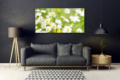 Glass Wall Art Daisy floral yellow white