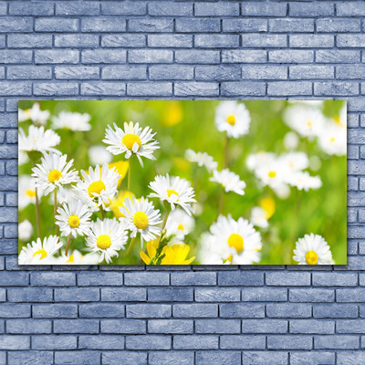 Glass Wall Art Daisy floral yellow white