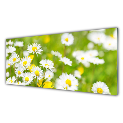 Glass Wall Art Daisy floral yellow white