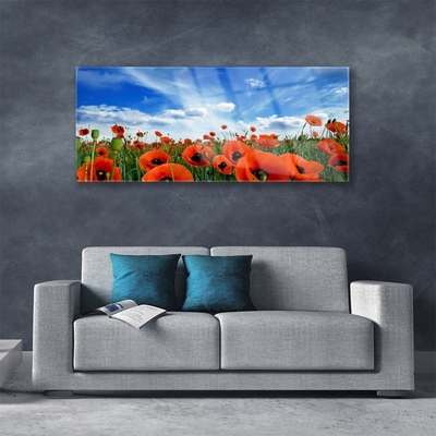 Glass Wall Art Meadow poppies floral green red