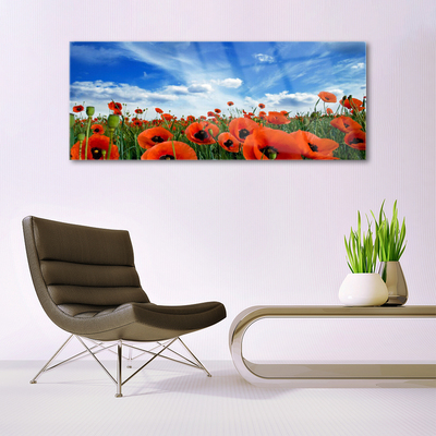 Glass Wall Art Meadow poppies floral green red