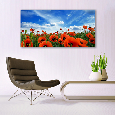 Glass Wall Art Meadow poppies floral green red