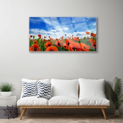 Glass Wall Art Meadow poppies floral green red