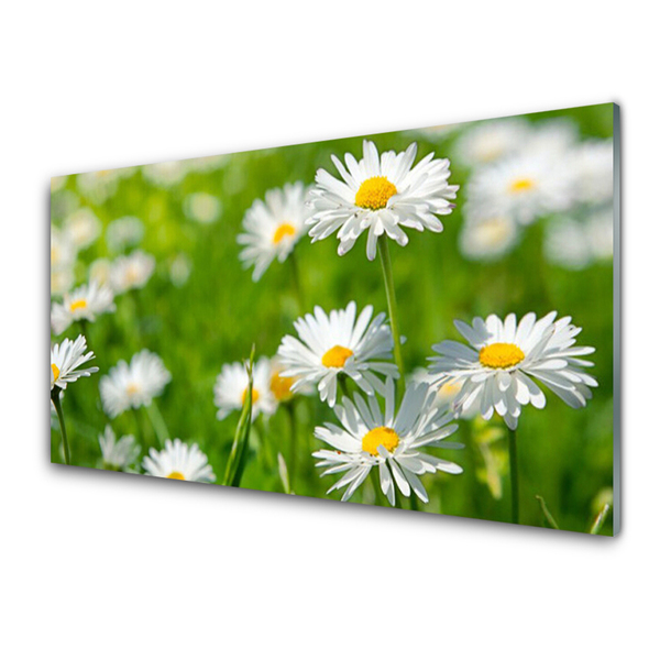 Glass Wall Art Daisy floral yellow white