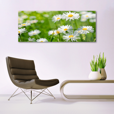 Glass Wall Art Daisy floral yellow white