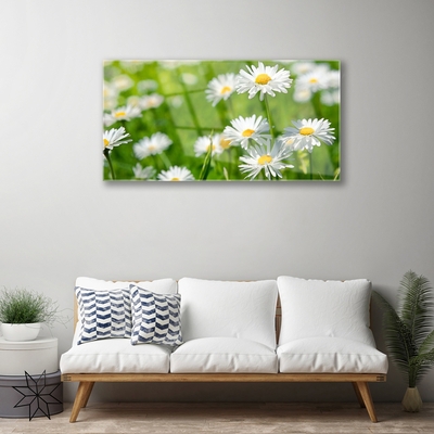 Glass Wall Art Daisy floral yellow white