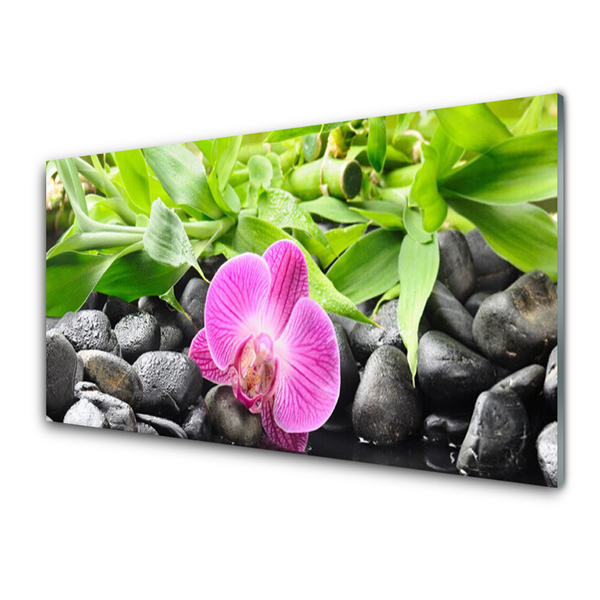 Glass Wall Art Flower leaves stones art pink green black