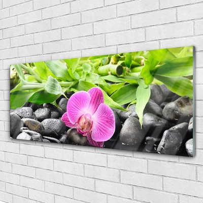 Glass Wall Art Flower leaves stones art pink green black