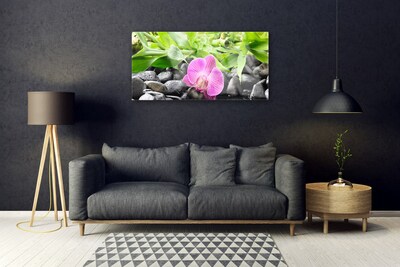 Glass Wall Art Flower leaves stones art pink green black