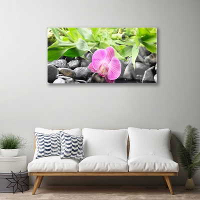 Glass Wall Art Flower leaves stones art pink green black