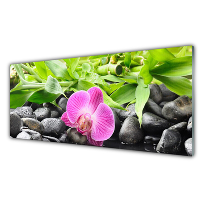 Glass Wall Art Flower leaves stones art pink green black