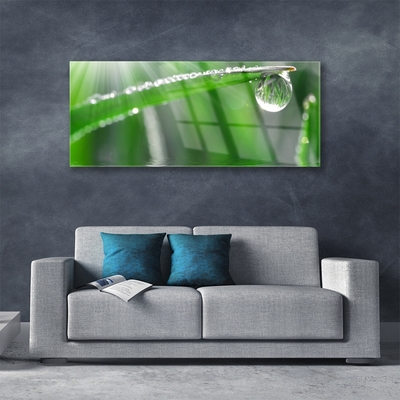 Glass Wall Art Grass dew drops floral green