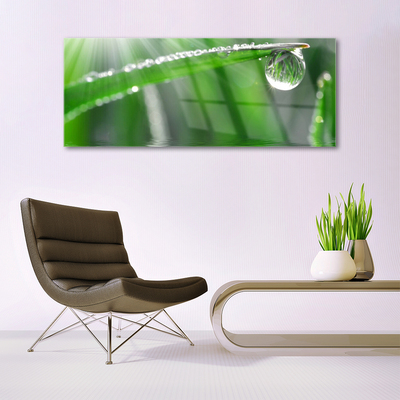 Glass Wall Art Grass dew drops floral green