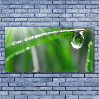 Glass Wall Art Grass dew drops floral green