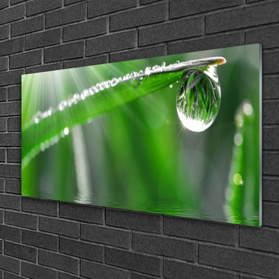 Glass Wall Art Grass dew drops floral green