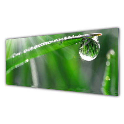 Glass Wall Art Grass dew drops floral green