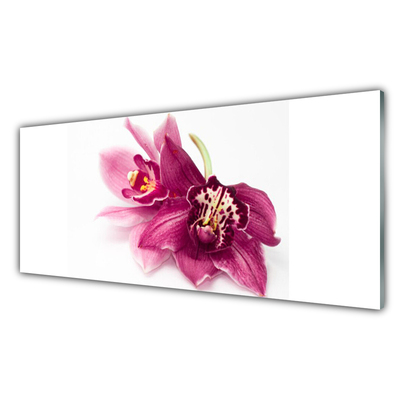 Glass Wall Art Flowers floral red