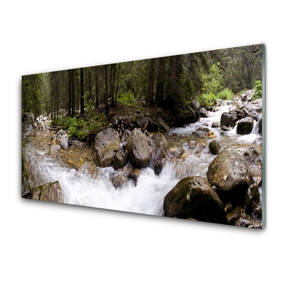Glass Wall Art Forest brook stones nature brown green white grey