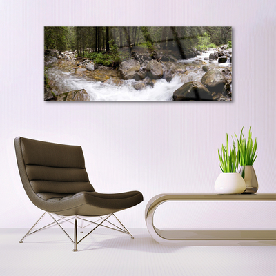 Glass Wall Art Forest brook stones nature brown green white grey